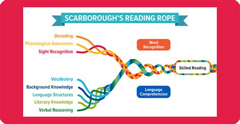 The idea is the rope represents skilled reading. Each strand represents a part of reading development that must be mastered and then woven tightly together so that the reader can be fluent, accurate, and automatic. The Reading Rope is divided into two main parts, Word Recognition and Language Comprehension. Effective Tier 1 literacy instruction ...